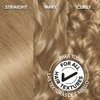 Garnier Hair Color Olia Ammonia-Free Brilliant Color Oil-Rich Permanent Hair Dye, 8.0 Medium Blonde, 2 Count (Packaging May Vary)