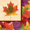 Thanksgiving Fall Foliage Luncheon Napkins Celebration Parties Harvest Fun 16 Pk