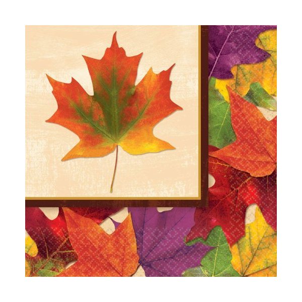 Thanksgiving Fall Foliage Luncheon Napkins Celebration Parties Harvest Fun 16 Pk