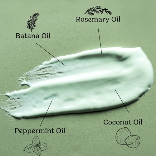 START NATURALS- Batana Oil for Hair Strength, Dr. Sebi 100% Pure & Natural Batana Oil from Honduras | Promotes Hair Wellness for Men & Women (Hair Mask)