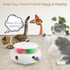 VTSGN 3-in-1 Cat Toy: Interactive Fun with Fluttering Butterfly, Ambush Feather, and Track Balls. USB Powered for Indoor Exercise (Bright White)