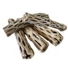 Natural Cholla Wood for Aquarium Decoration Shrimp and Fish Tank (6 Inch (5 Pack))