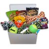 Good Dog Care Package New Pet Gift box
