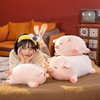 CHDGIOHA Pig Stuffed Animal Plush Pillow - 15.7'' Kawaii Soft Pig Hugging Pillow, Adorable Cuddle Plush Toy, for Kids, Girlfriend, or Adults, Perfect for Christmas and Birthdays (Squint, 15.7in)