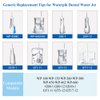 TB100E Replacement Toothbrush Tips for Waterpik Dental Water Jet WP100 WP300 WP450 WP672 WP660 WP260 Generic Toothbrush Replacement Heads for Waterpik Flossers fit Waterpik Brush Flosser Head