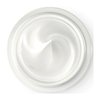 MASON NATURAL Coconut Oil Skin Cream - Premium Skin Conditioning Formula, Nourishing Body Moisturizer, Paraben Free, 2 OZ