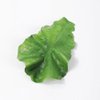 Beaupretty Fake Lettuce Leaves,Artificial Vegetables Lettuces Alligator Hair Clip Vegetable Hairpin Hair Clip Cute Hair Accessories Sweet Barrette Creative Party Headdress for Women Girls
