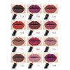 Petansy Lip Liner Pencils Set 12 Colors Waterproof Smooth Lip Pencils High Pigmented Lip Liner Set Matte Lipstick Pen
