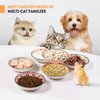 Cat Food Bowls for Indoor Cats Ceramic Cat Bowls Whisker Friendly Cat Dishes for Food and Water 5.5 Inches Kitten Bowls Cute Cat Feeding Bowls Set 6 Cat Wet Food Bowl Set Shallow Cat Plate