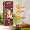 Surya Brasil Henna Hair Color Cream - Semi-Permanent Natural Dye for Gray Coverage - Deep Conditioning, Dark Brown, 2.37 oz