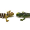 Kvvdi 12pcs 5 Inch Colorful Fake Plastic Lizard Toys Action Figure Reptile Toy Lizards Realistic Favors