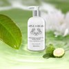 Apple and Bears Bergamot and Green Tea Body Wash, 500 ml