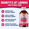 Iron Supplement Liquid Iron High Potency Iron for Women & Adults by Llorens - 100mg Polysaccharide Iron Complex Iron Supplements for Anemia and Iron Deficiency, (Raspberry, 6 oz)
