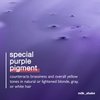 Milk_shake Silver Shine Purple Shampoo for Blonde Hair - Blonde Toner for Brassy Hair 100% SLES-Free, 10.1 Fl Oz