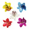 YSSZAM 5Pcs Hawaiian Flower Hair Clip for Women Girls Fashion Bohemian Flowers Hair Accessory for Dancer Bridal Wedding Beach Party