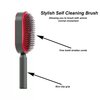 Self-Cleaning Hair Brush - 3D Air Cushion Massager, Airbag Massage Comb, Shaping Comb, Massage Brush, Anti-Static - Unisex, Suitable for All Hair Types (Red)