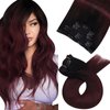 Moresoo Burgundy Hair Extensions Real Human Hair Clip ins Ombre Clip in Hair Extensions Human Hair Balayage Black to Red Wine Double Weft Clip in Human Hair Extensions 7pcs/120g 20inch