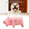 Ichiias Dog Chew Toy, Squeaky Pig Dog Toys Latex Grunting Pig Sound Play Dog Toy Cute Pig Grunting Squeak Latex Interactive Squeak Funny Cute Dog Toy Pet Dog Puppy Toy(Pink)