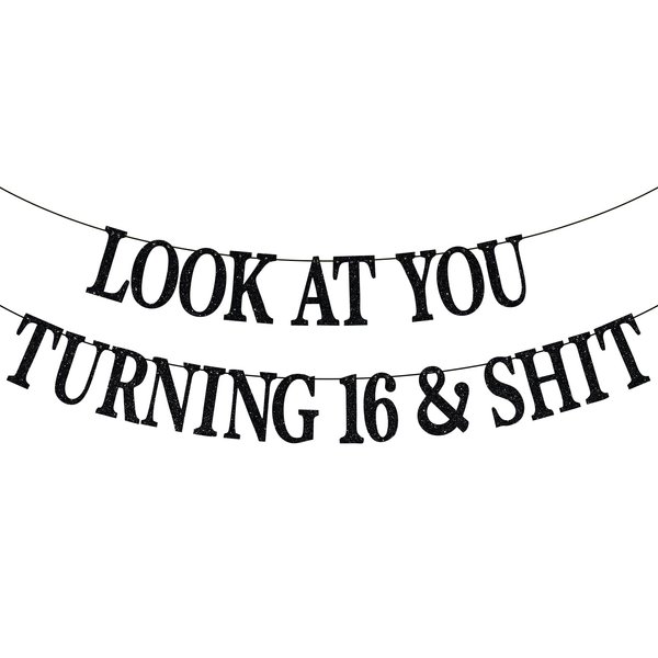 Happy 16th Birthday Banner, Happy Sweet 16, 16 and Fabulous, Funny Teens 16th Birthday Party Decorations Backdrop Gifts, Black Glitter