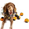 Midlee Orange/Black Dog Halloween Tennis Balls- Set of 6