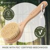 Hydrea London Dry Body Brush – Premium Exfoliating Dry Skin Brush Cactus Bristle, Vegan Dry Brush Cellulite Remover, Exfoliating Body Scrubber for Lymphatic Drainage, FSC® Certified Beechwood