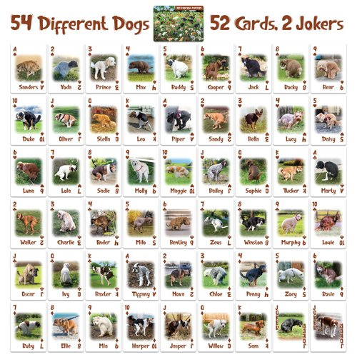 Funwares 101 Pooping Puppies Deck of Cards - Hilarious Waterproof Card Deck with 54 Unique Dogs, Durable Plastic Playing Cards, Parties, Family Game Nights, Gifting, for All Ages