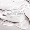 Aesthe Morning Glory Multi-Acid Exfoliant - Facial Scrub with 5 AHAs - Glycolic, Malic, Citric, Tartaric, Lactic Acids - For Cellular Turnover, Deep Cleansing - Oily, Acne-Prone, Mature Skin - 4.2 oz