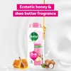 Dettol Body Wash and shower Gel, Nourish - 250ml