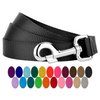 Country Brook Petz - Vibrant 25 Color Selection - Nylon Dog Leash (5/8 Inch Wide, 6 Foot, Black)