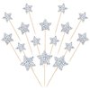 30 PCS Silver Glitter Little Star Cupcake Toppers Twinkle Star Cupcake Picks Wedding Engagement Bridal Shower Cake Decorations for Baby Shower Kids Birthday Theme Party Supplies