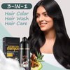 Light Brown Hair Dye Shampoo 3 in 1 Coconut Hair Color Shampoo for Men Women Gray Hair Coverage - Herbal Brown Shampoo Colors, Long Lasting Brown Hair Dye 16.9 Fl Oz (Light brown)