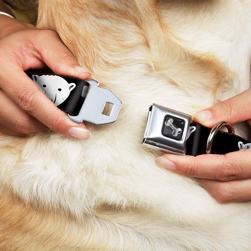 Dog Collar Seatbelt Buckle Polar Bear Repeat Black Blue Fade 11 to 17 Inches 1.0 Inch Wide