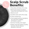 16 fl oz Sulfate-Free Charcoal Scalp Scrub with Bamboo Charcoal & Tea Tree Oil | Exfoliating Hair & Scalp Treatment for Detox, Dandruff & Build-Up | Scalp Exfoliator Scrub