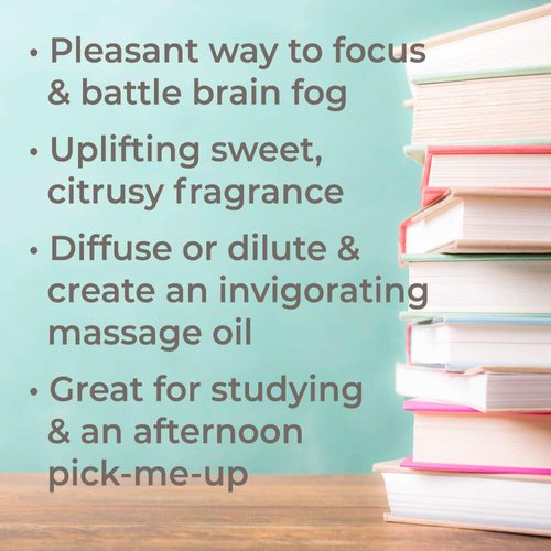 Plant Therapy Brain Aid Essential Oil Blend for Focus & Attention 100% Pure, Undiluted, Natural Aromatherapy, Therapeutic Grade 10 mL (1/3 oz)