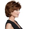 Raquel Welch Salsa Wig, R10 by Hairuwear