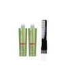 Inebrya Ice Cream Energy Shampoo (10.14 oz) with Teasing Comb Pack of 2