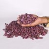 Natural Raw Red Star Ruby Crystal Healing Untreated Raw Rough Loose Gemstones 250 Ct. Lot…, Healing Crystal