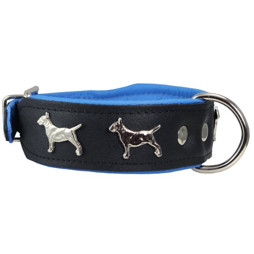 Real Leather Soft Leather Padded Dog Collar Bull Terrier 1.75" Wide. (13"-15.25" Neck, Black/Blue)