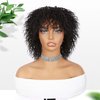 Fancy Hair Short Curly Wig with Bangs Glueless BeBe Curly Wigs Synthetic Afro Kinky Curly Wig for Black Women Men