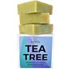 Splendor Tea Tree Coconut Oil Soap Bars with ORGANIC SPIRULINA 3 Bars/Box. Handmade, Vegan, Natural, Moisturizing. for Hand, Body and Face