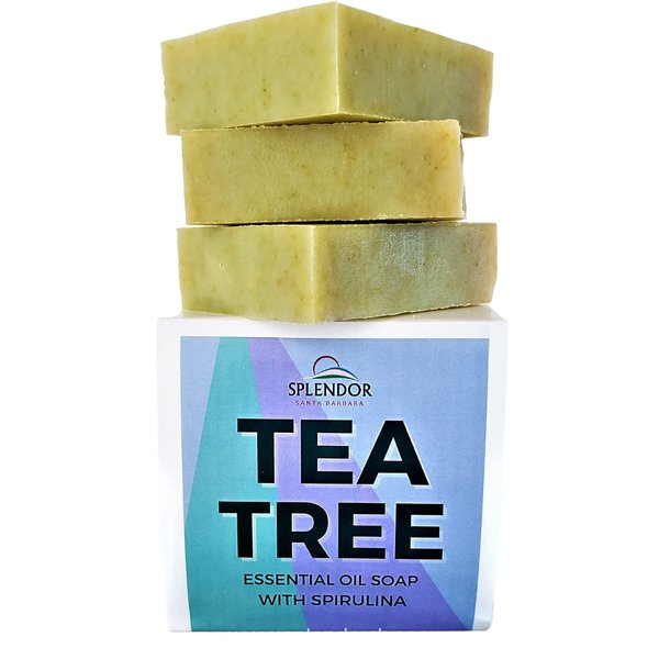 Splendor Tea Tree Coconut Oil Soap Bars with ORGANIC SPIRULINA 3 Bars/Box. Handmade, Vegan, Natural, Moisturizing. for Hand, Body and Face