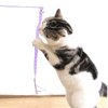 lpdrzka Cat Wand Toys, 3 PCS Cute Plush Snake Kitten Wands Soft Cat Teaser Wands Interactive Cat Toys for All Breed Sizes