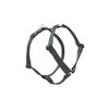 LupinePet Basics 1/2" Black 9-14" Adjustable Roman Dog Harness for Extra Small Dogs