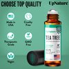 UpNature Tea Tree Oil Roll On - 100% Pure Tea Tree Essential Oil for Skin - Premium Quality Aromatherapy Oil