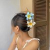 Gyaru Hair Clip Flower Gyaru Hair Pins Hair Accessories Hawaiian Flower Pins Wonderful Gift Goth Accessories Punk Alt Accessories (flower set)