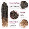 Passion Twist Hair - 8 Packs 14 Inch Passion Twist Crochet Hair For Women, Crochet Pretwisted Curly Hair Passion Twists Synthetic Braiding Hair Extensions (14 Inch 8 Packs, T27)