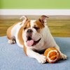 Plush Football Dog Toy [Set of 3]
