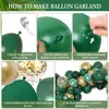 Amandir 153pcs Green and Gold Balloon Garland Arch Kit, Different Sizes 18 12 10 5 inch Green Latex Metallic Confetti Balloons for Graduation Birthday Anniversary Safari Party Decoration Supplies