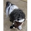 Glory To Dog Barnyard Horse Plush Small Dog Toy
