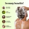 Tea Tree Shampoo and Conditioner Set - Sulfate Free Clarifying Shampoo and Conditioner for Oily Hair & Scalp Care with Cleansing Tea Tree Oil - Complete Oily and Dry Scalp Treatment for Build Up